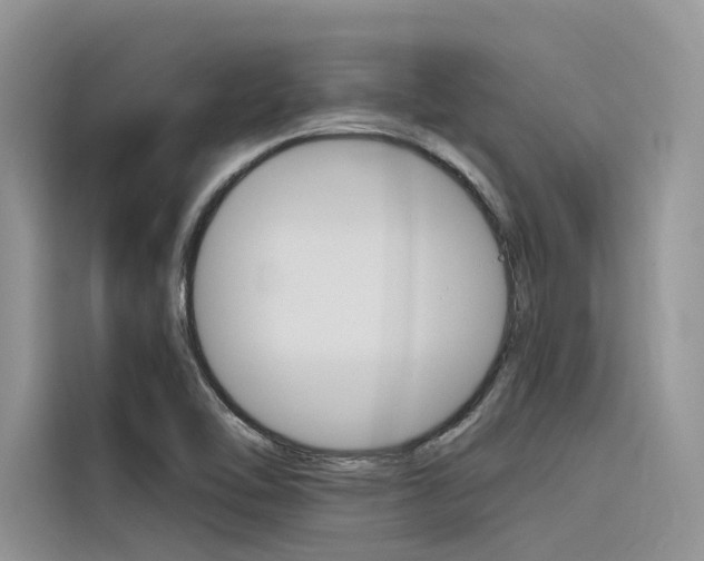 X0000116341462200912011008