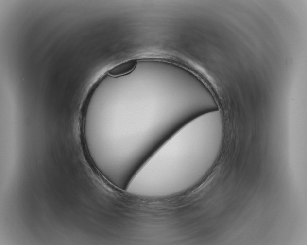X0000116341463200912011008