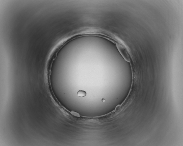 X0000116341464200912011008