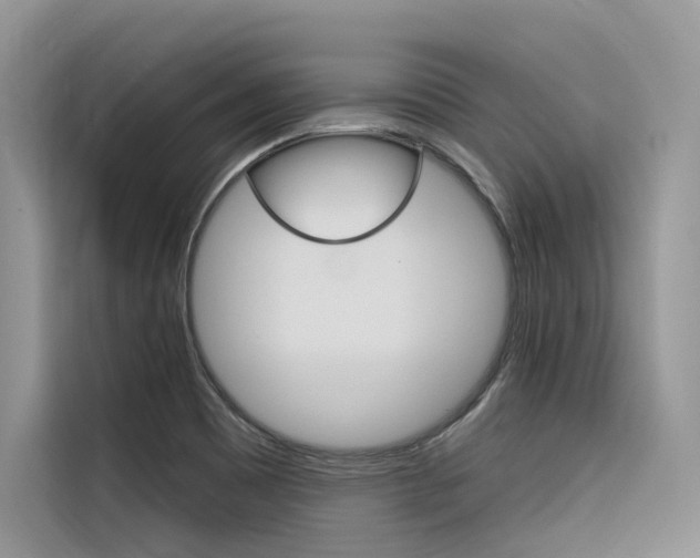X0000116341465200912011008