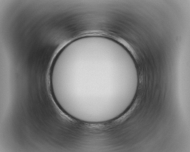 X0000116341466200912011008