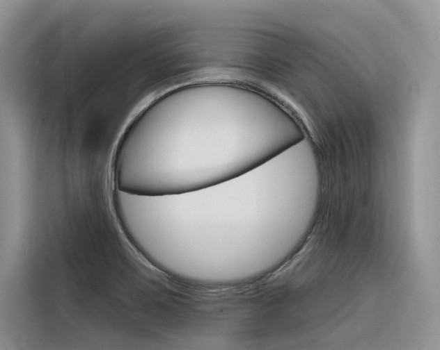 X0000116341467200912011008