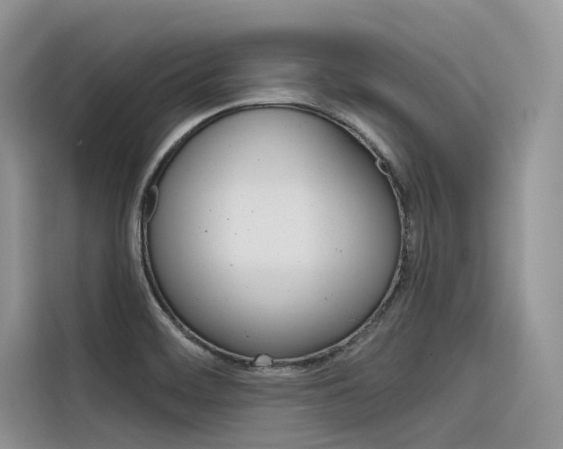 X0000116341468200912011008