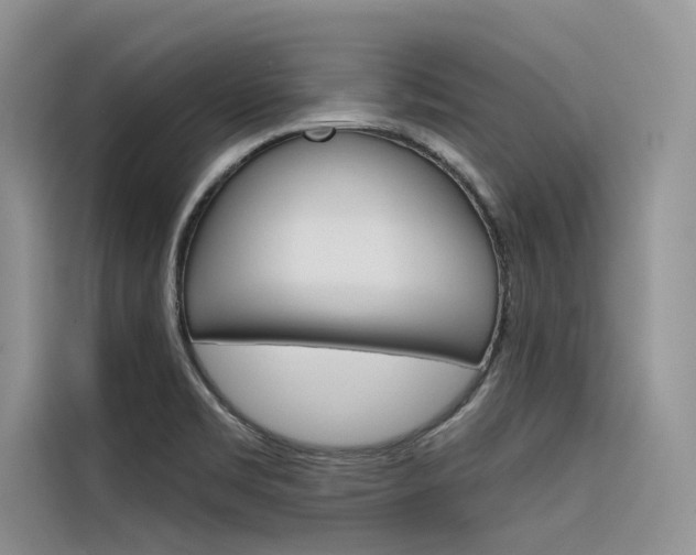 X0000116341469200912011008