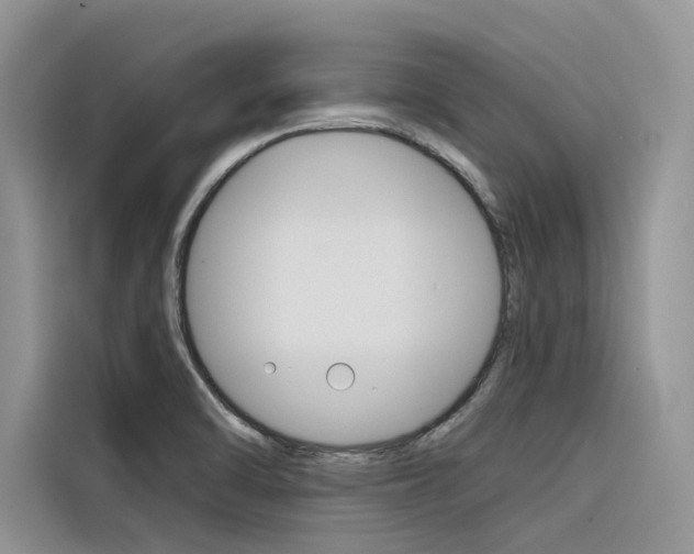 X0000116341470200912011008