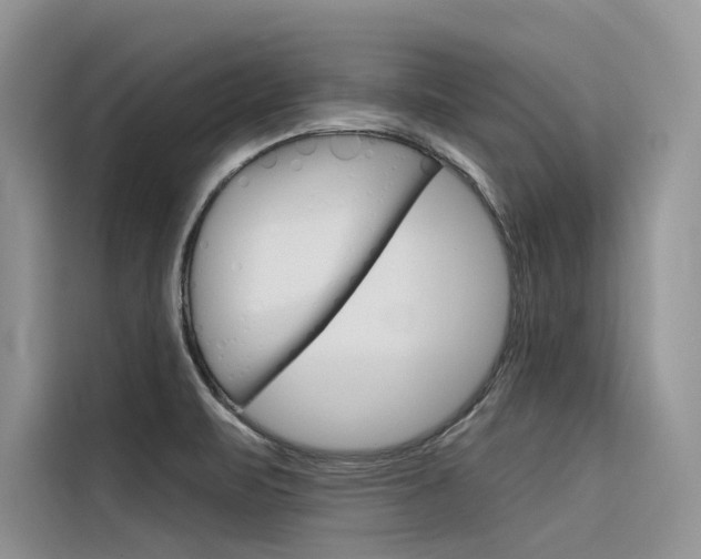 X0000116341471200912011008
