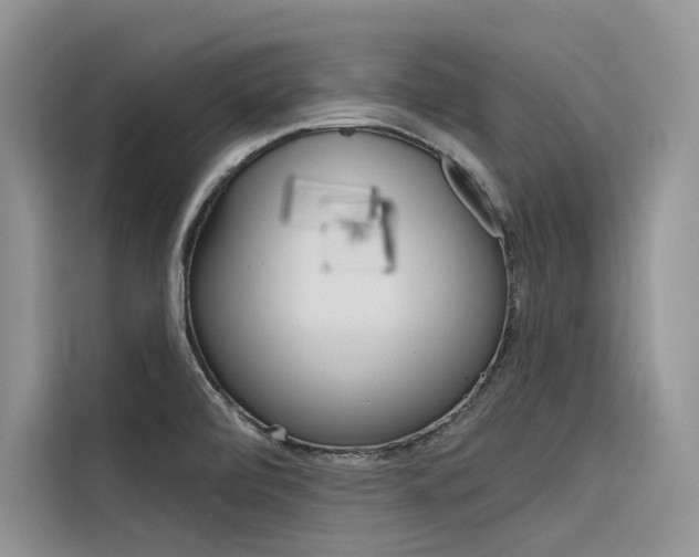 X0000116341472200912011008
