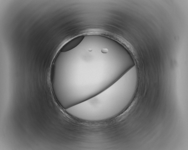 X0000116341473200912011008