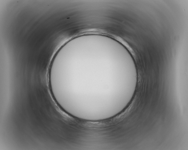 X0000116341474200912011008