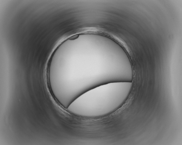 X0000116341475200912011008