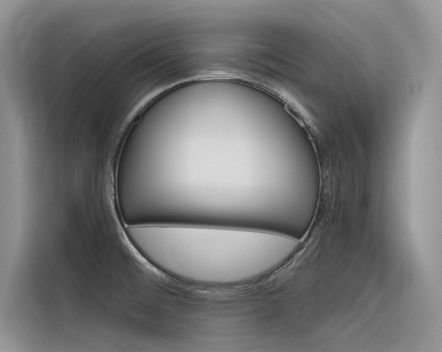 X0000116341476200912011008