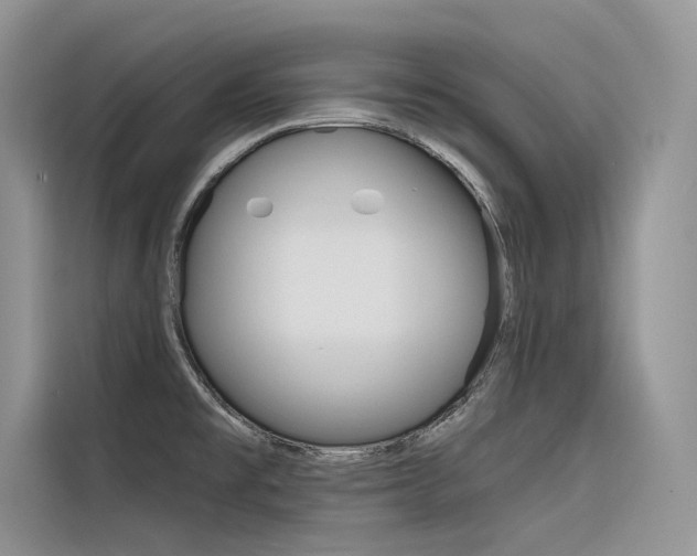 X0000116341477200912011008