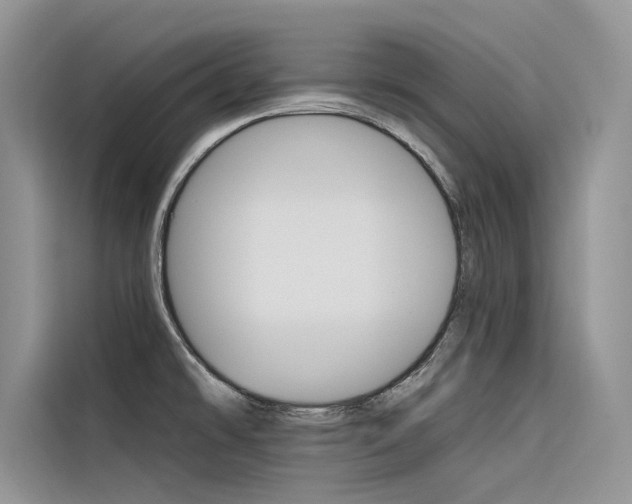 X0000116341478200912011008