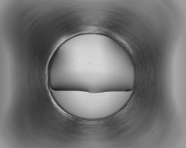 X0000116341479200912011008