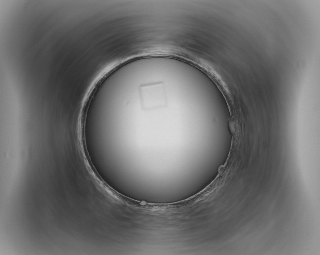 X0000116341480200912011008
