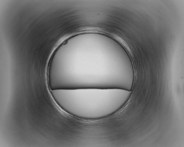 X0000116341482200912011008