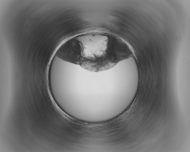 X0000116341483200912011008