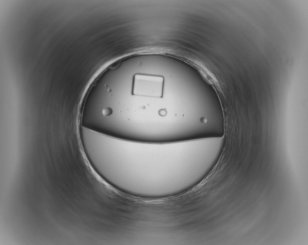 X0000116341484200912011008