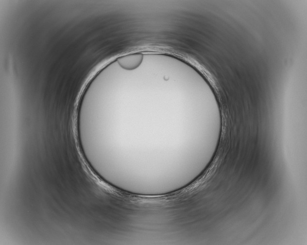 X0000116341486200912011008