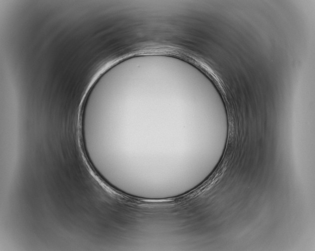 X0000116341487200912011008