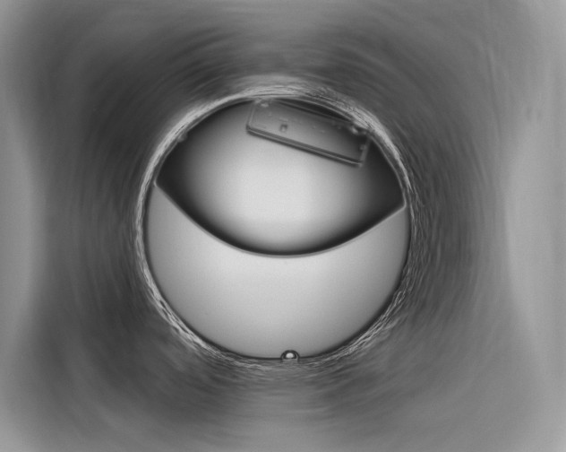 X0000116341488200912011008