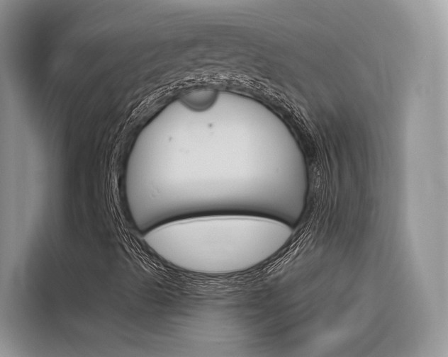 X0000116341489200912011007