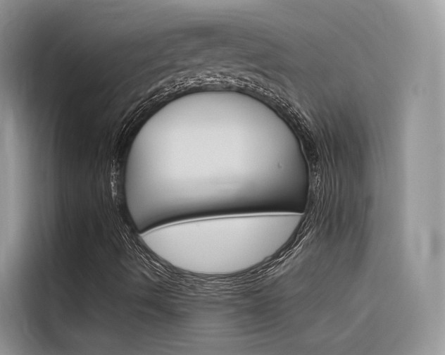 X0000116341490200912011007