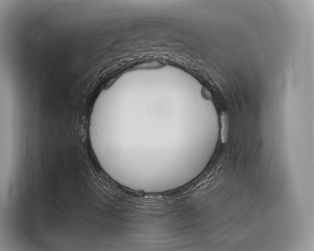 X0000116341491200912011007