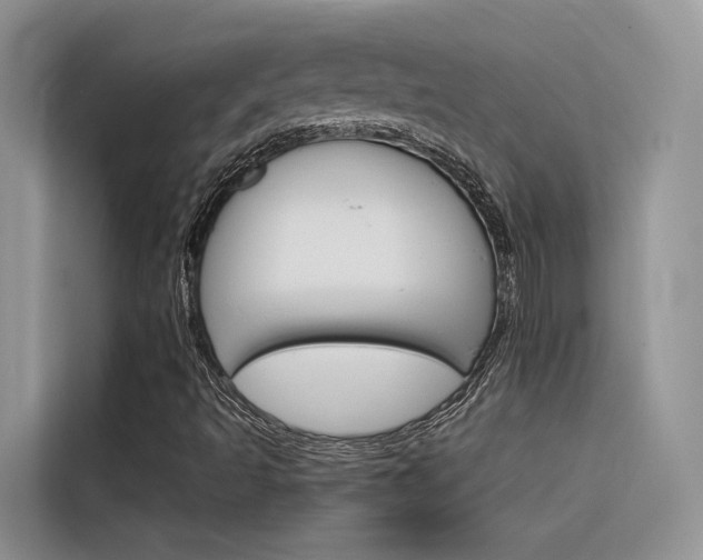 X0000116341493200912011007