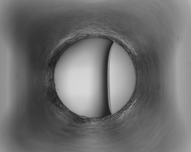 X0000116341494200912011007