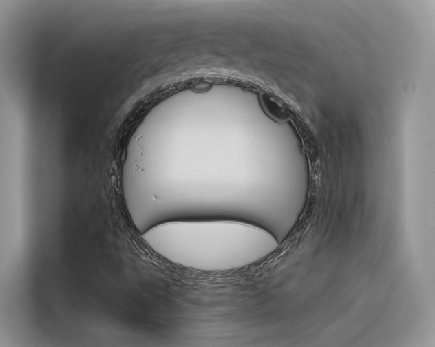 X0000116341495200912011007