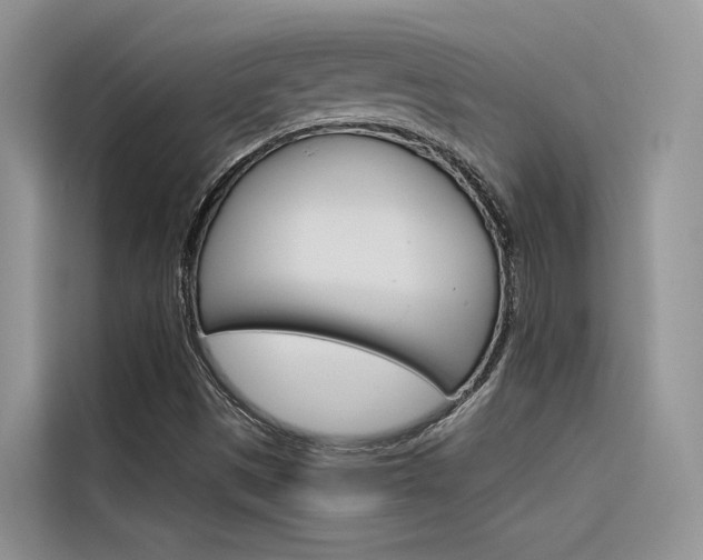 X0000116341497200912011007