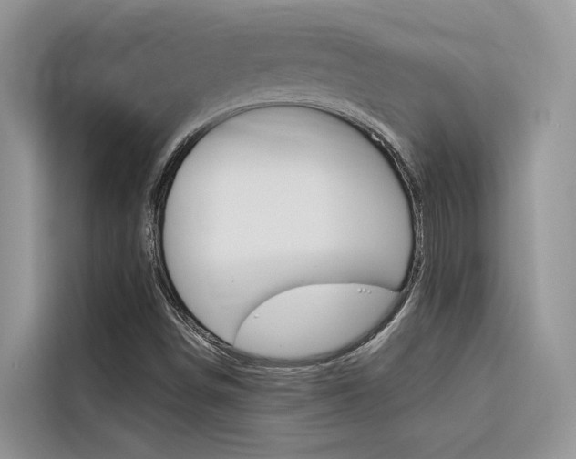 X0000116341498200912011007