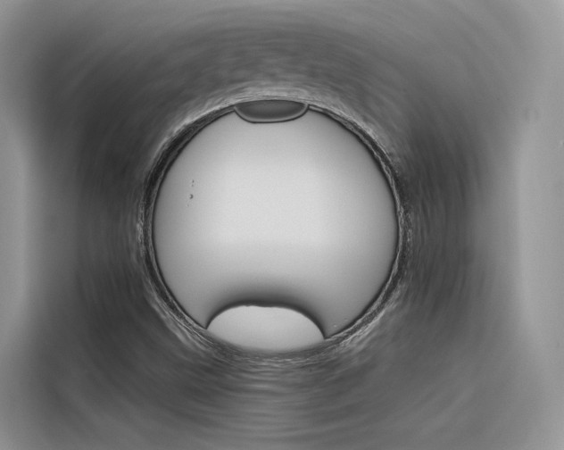 X0000116341499200912011007
