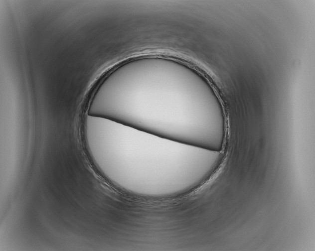X0000116341501200912011007