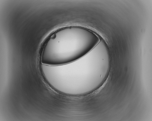 X0000116341502200912011007