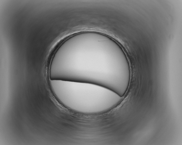 X0000116341503200912011007