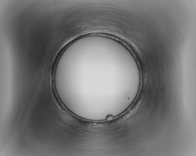 X0000116341505200912011007