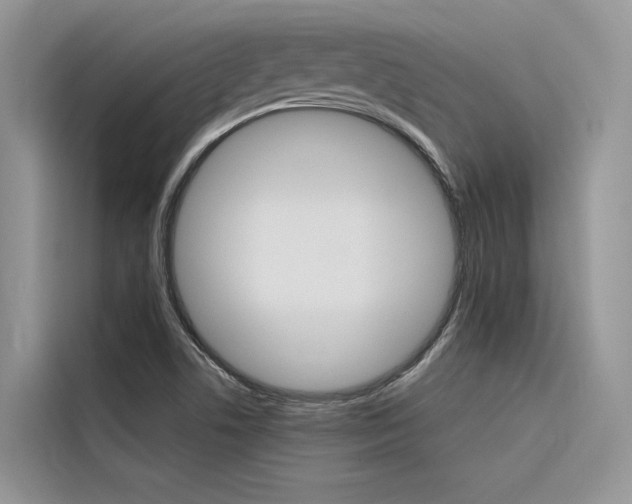 X0000116341506200912011007
