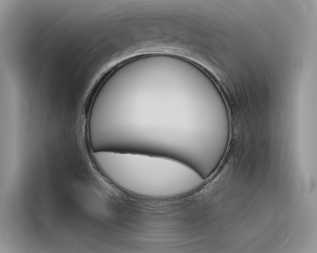 X0000116341507200912011008