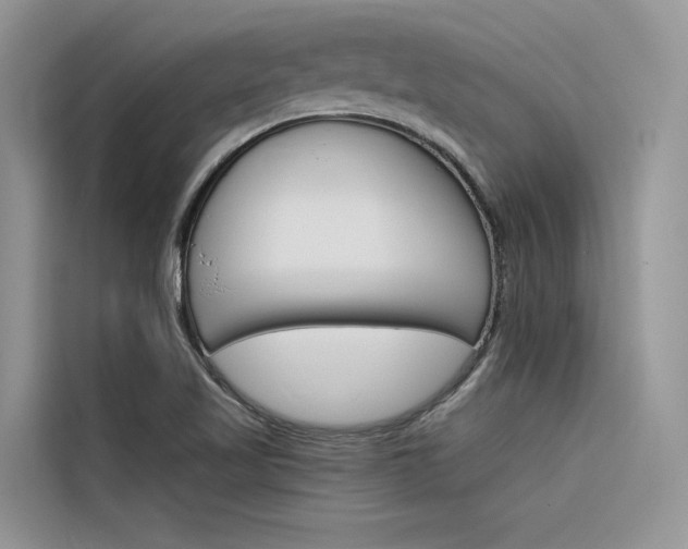 X0000116341509200912011008