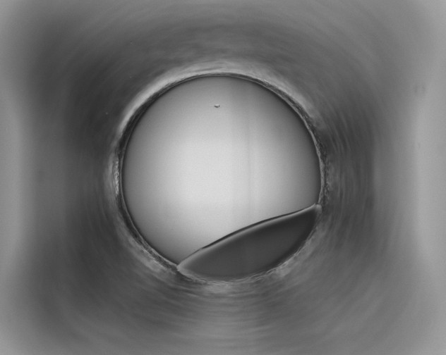 X0000116341510200912011008