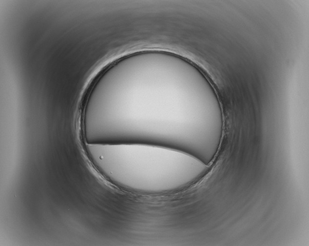 X0000116341511200912011008
