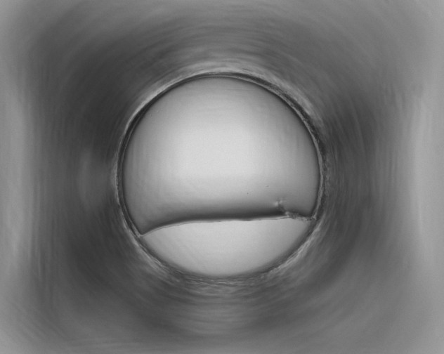 X0000116341513200912011008