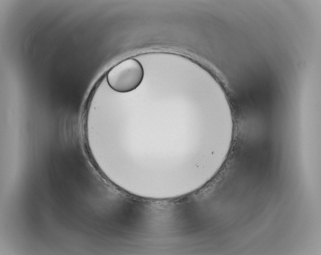 X0000116341514200912011008