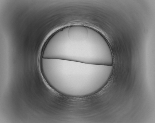 X0000116341515200912011008