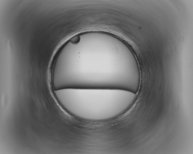 X0000116341517200912011008