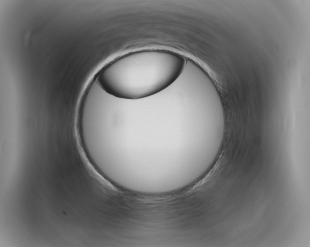 X0000116341518200912011008