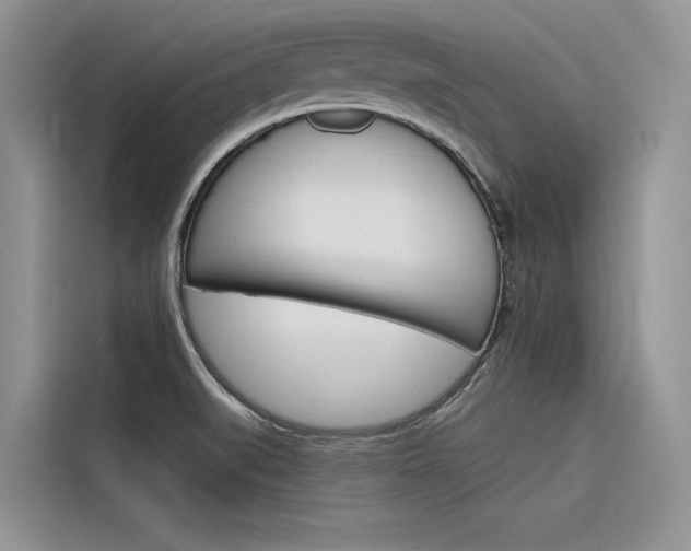 X0000116341519200912011008