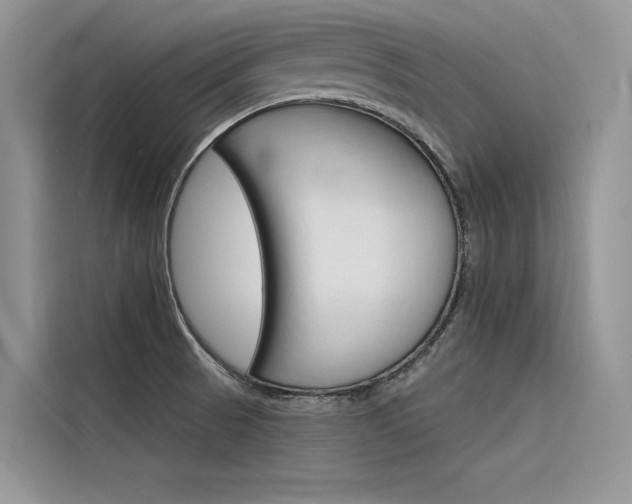 X0000116341521200912011008